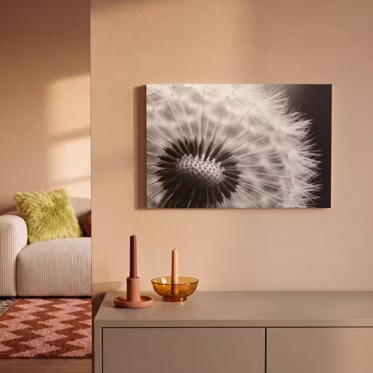 Canvas schilderij - Paardenbloem - Zwart - Wit — 2