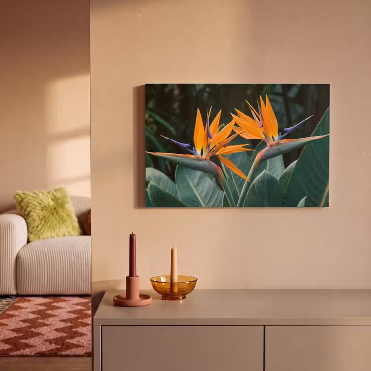 Canvas schilderij - Paradijsvogel - Bloem - Exotisch — 2