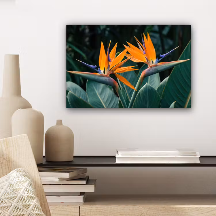Canvas schilderij - Paradijsvogel - Bloem - Exotisch — 5
