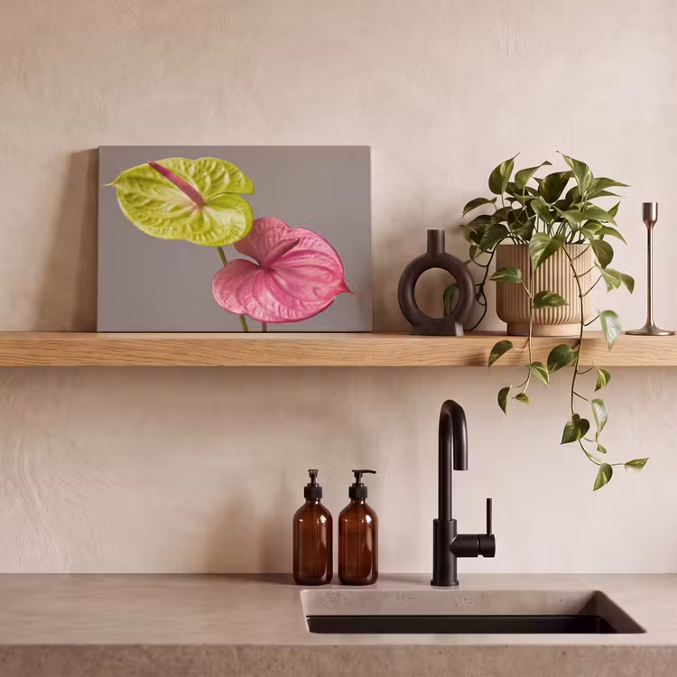 Canvas schilderij - Planten - Anthurium - Groen - Roze — 3