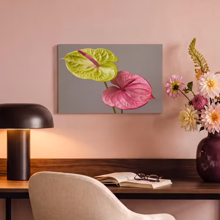 Canvas schilderij - Planten - Anthurium - Groen - Roze — 4