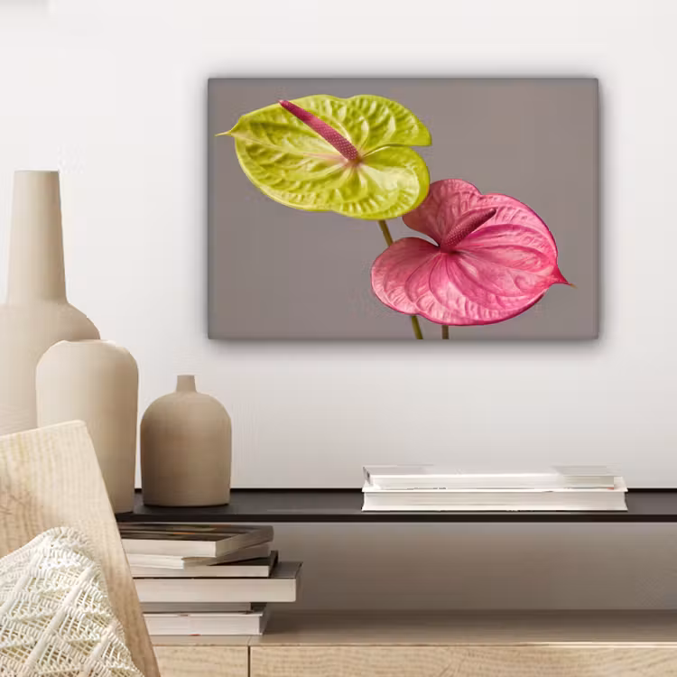 Canvas schilderij - Planten - Anthurium - Groen - Roze — 5