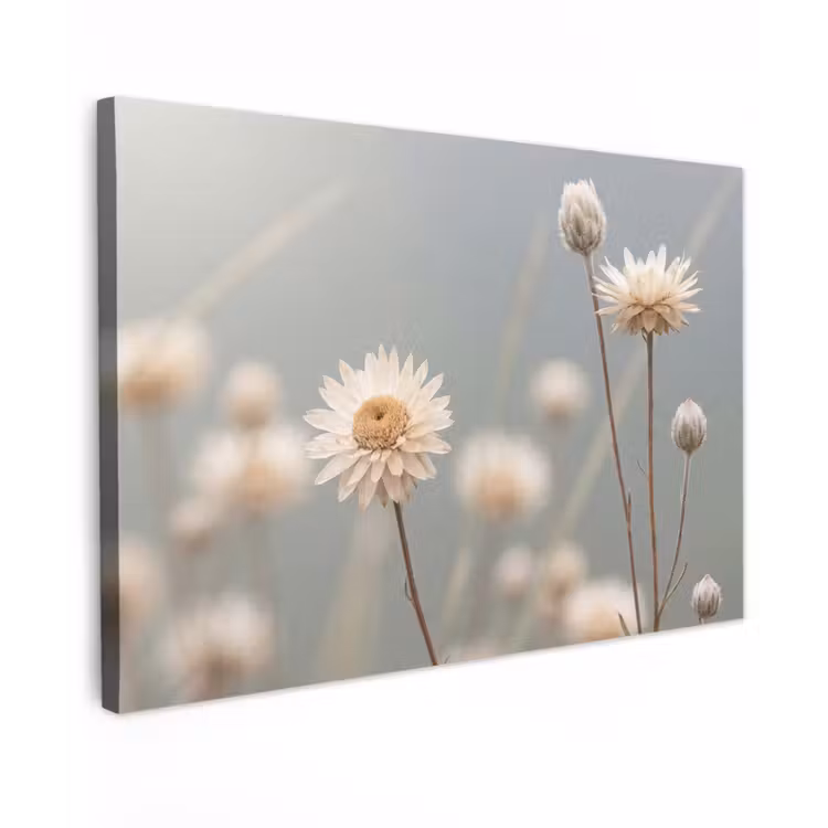 Canvas schilderij - Strobloemen - Wit - Daglicht — 1