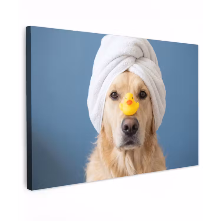 Canvas schilderij - Hond - Badeend - Geel — 1