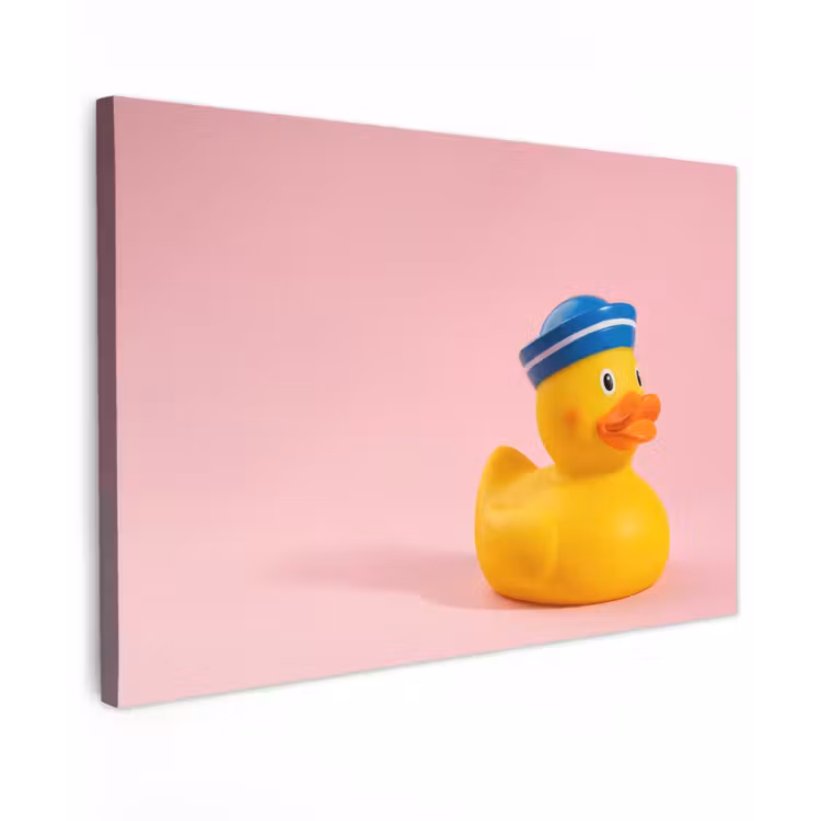 Canvas schilderij - Matroos - Eend - Roze — 1