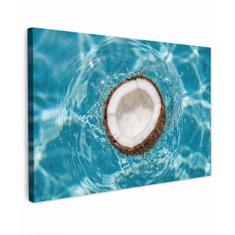 Canvas schilderij - Kokosnoot - Water - Wit — 1