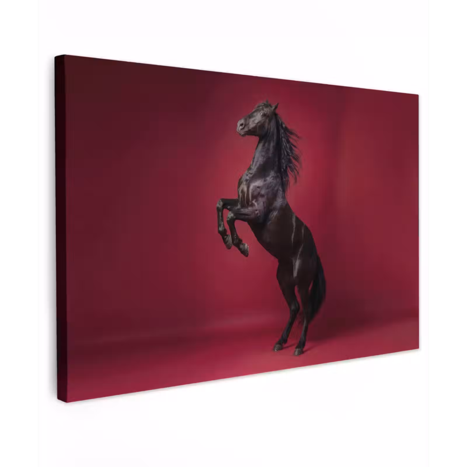 Canvas schilderij - Hengst - Steigert - Rood — 1