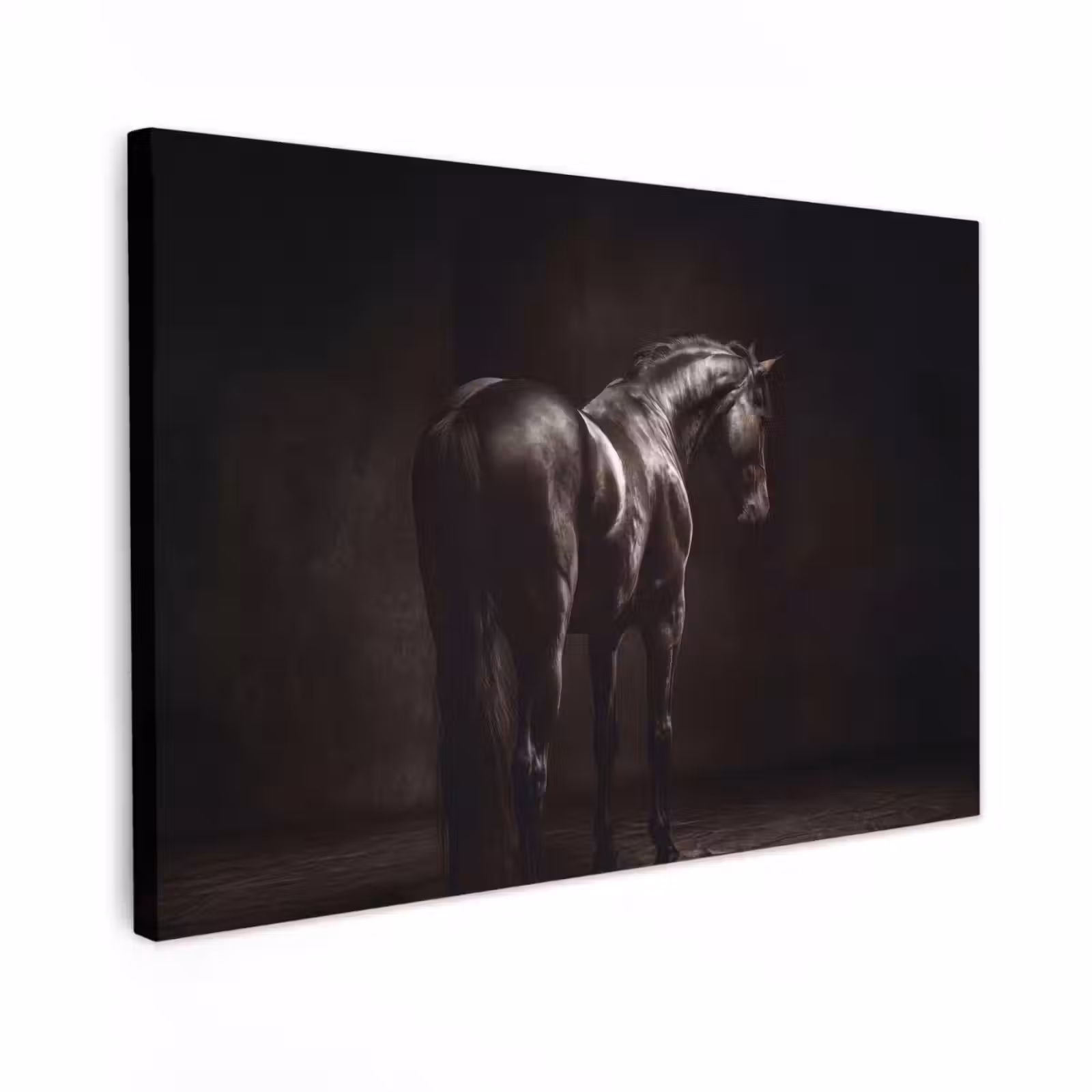 Canvas schilderij - Krachtig - Paard - Donker — 1