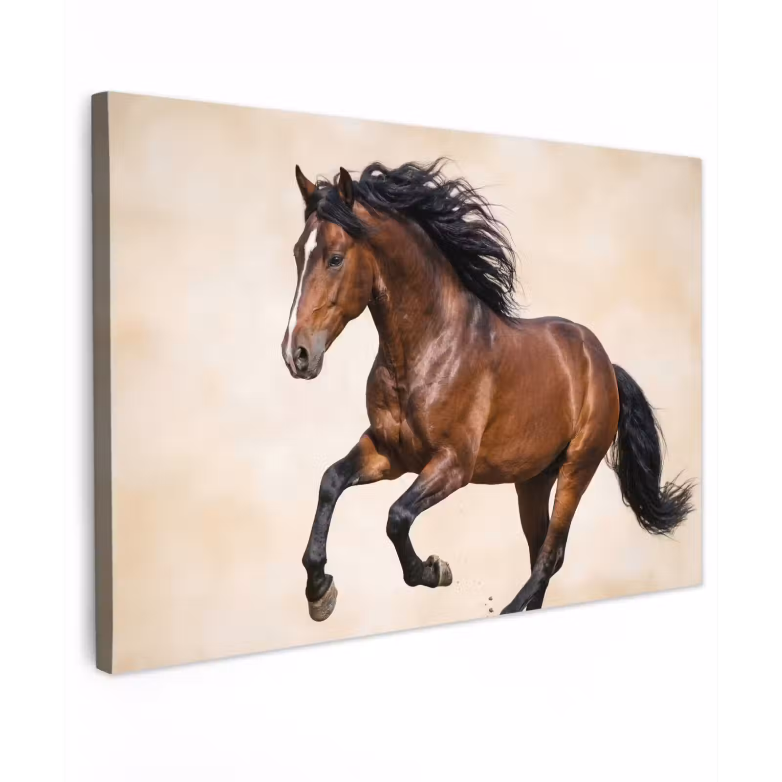 Canvas schilderij - Paard - Galop - Energie — 1