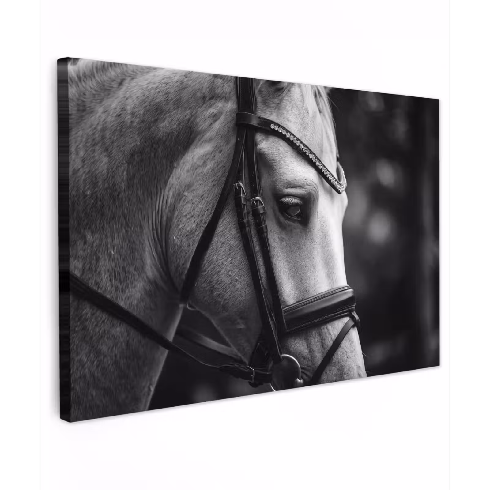 Canvas schilderij - Paard - Schimmel - Portret — 1
