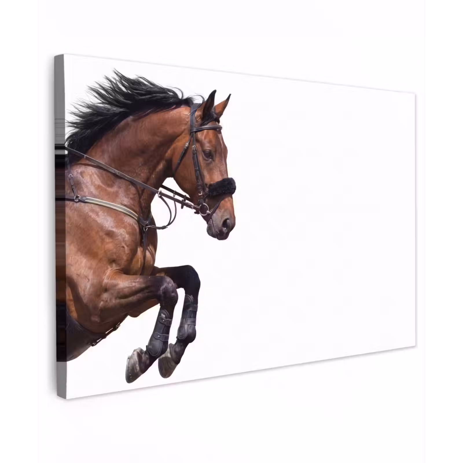 Canvas schilderij - Paard - Springen - Modern — 1