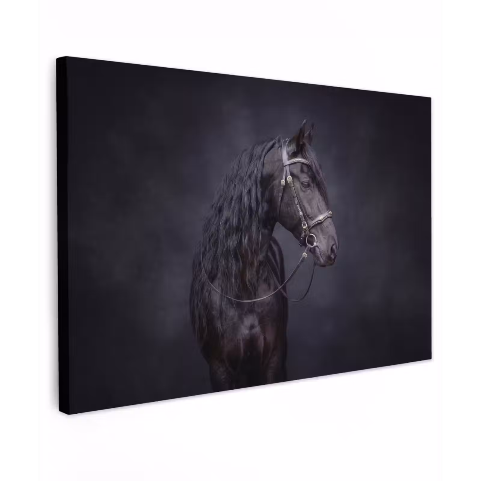 Canvas schilderij - Portret - Paard - Donker — 1