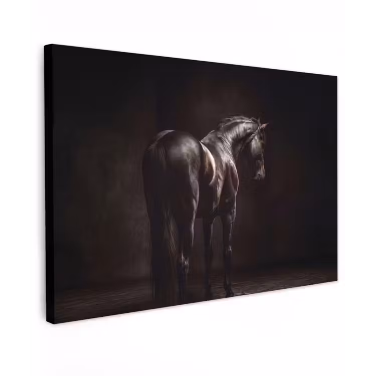 Canvas schilderij - Krachtig - Paard - Donker — 1
