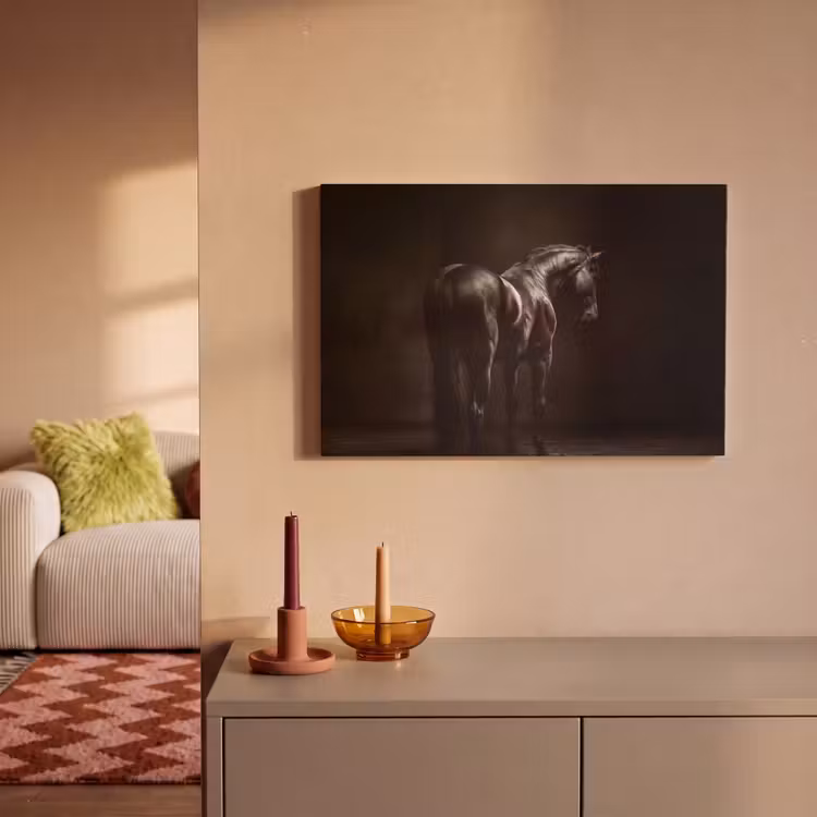 Canvas schilderij - Krachtig - Paard - Donker — 2
