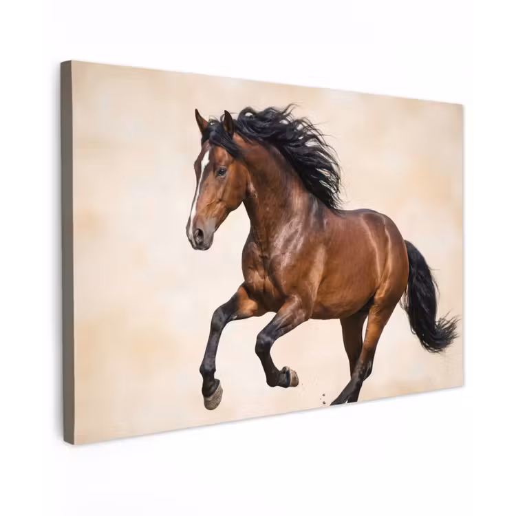 Canvas schilderij - Paard - Galop - Energie — 1