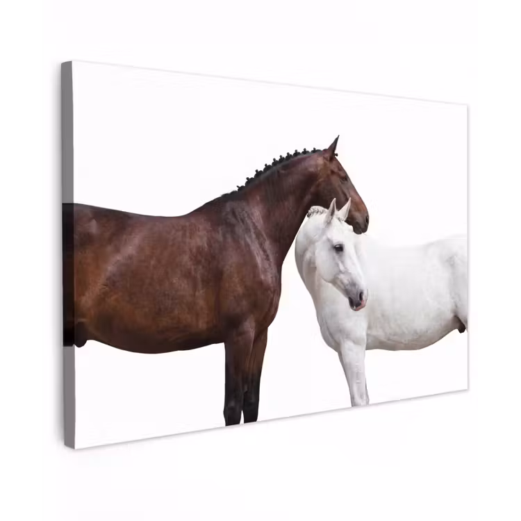 Canvas schilderij - Paard - Modern - Balans — 1