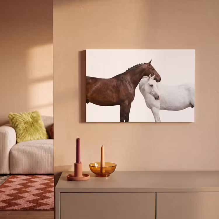 Canvas schilderij - Paard - Modern - Balans — 2