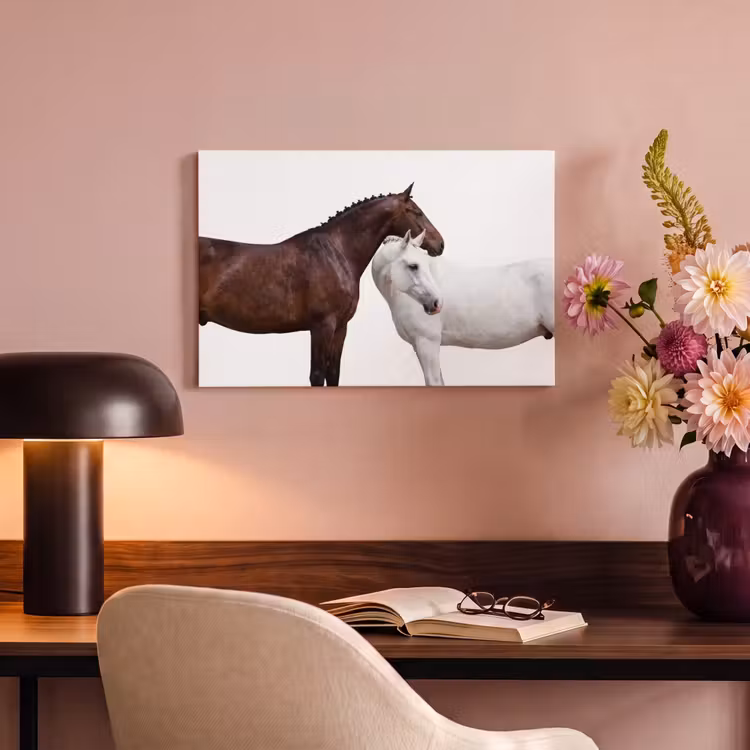Canvas schilderij - Paard - Modern - Balans — 4