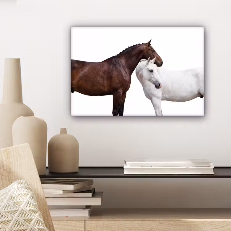Canvas schilderij - Paard - Modern - Balans — 5