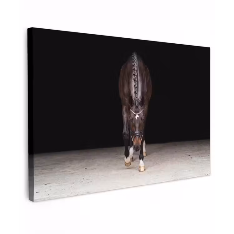 Canvas schilderij - Paard - Modern - Portret — 1