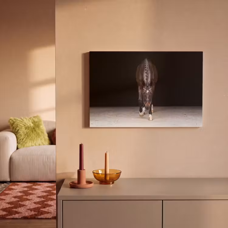 Canvas schilderij - Paard - Modern - Portret — 2