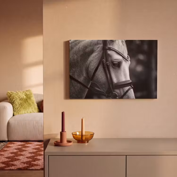Canvas schilderij - Paard - Schimmel - Portret — 2