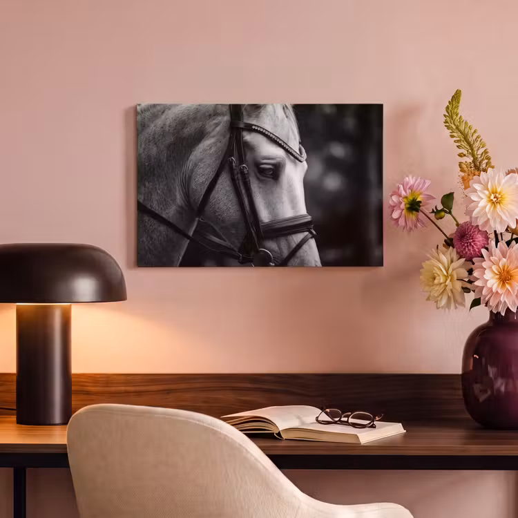 Canvas schilderij - Paard - Schimmel - Portret — 4