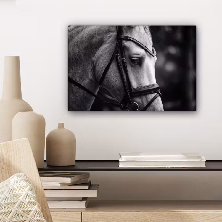 Canvas schilderij - Paard - Schimmel - Portret — 5
