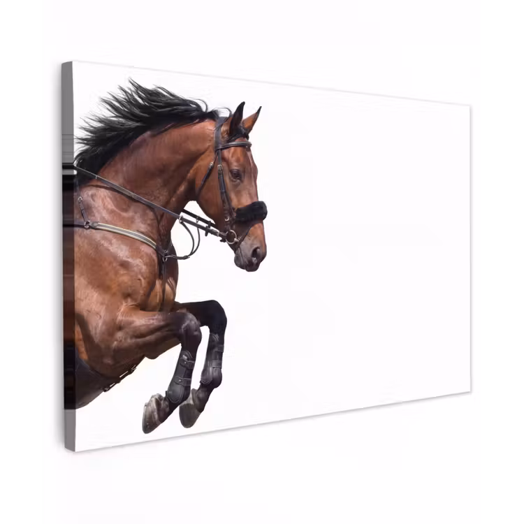 Canvas schilderij - Paard - Springen - Modern — 1