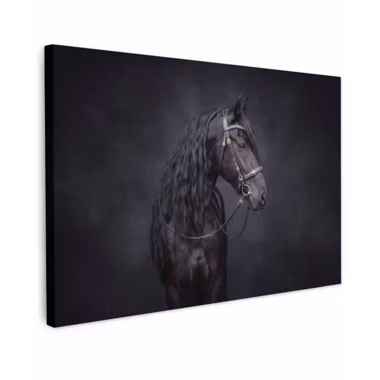 Canvas schilderij - Portret - Paard - Donker — 1