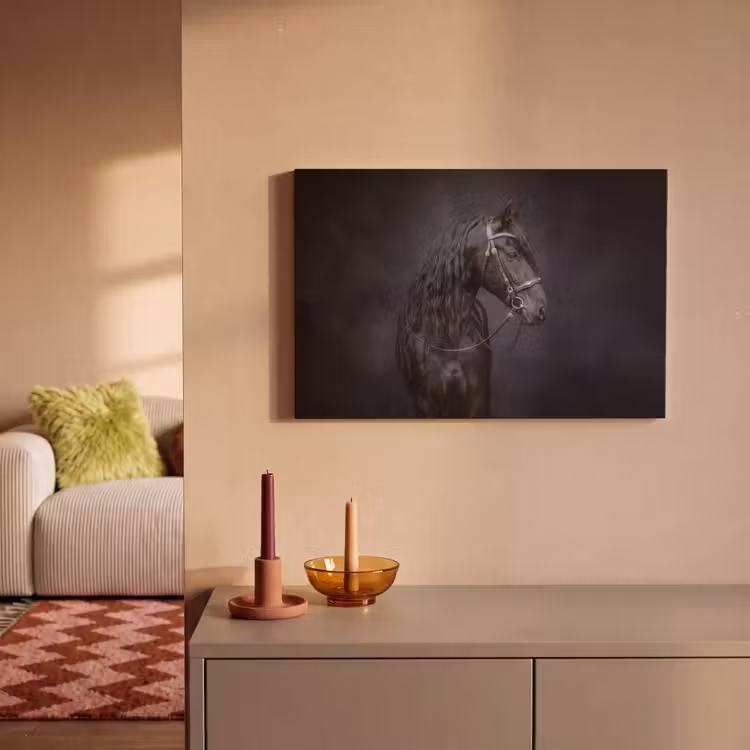 Canvas schilderij - Portret - Paard - Donker — 2