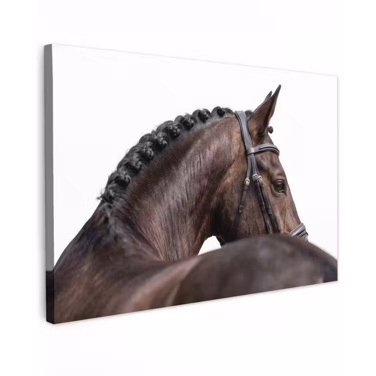 Canvas schilderij - Portret - Paard - Elegant — 1