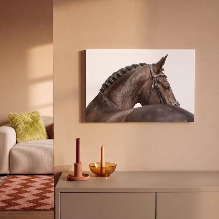 Canvas schilderij - Portret - Paard - Elegant — 2