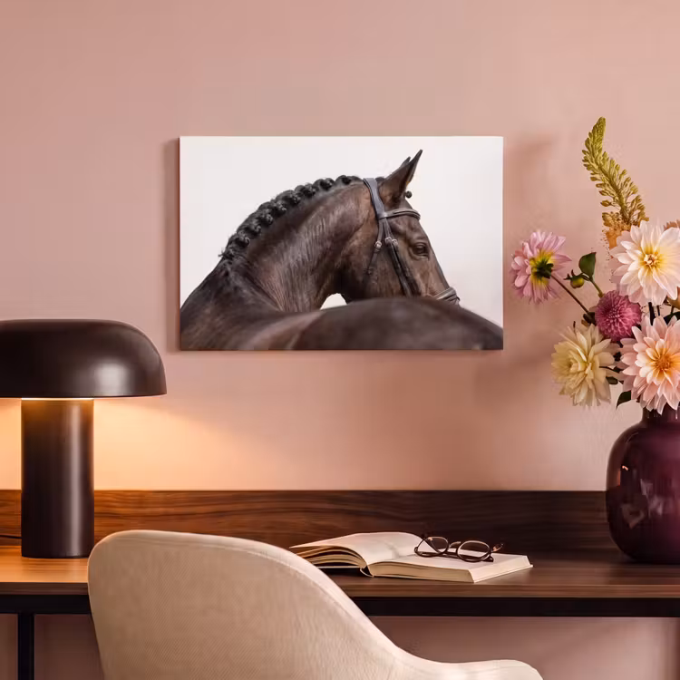 Canvas schilderij - Portret - Paard - Elegant — 4