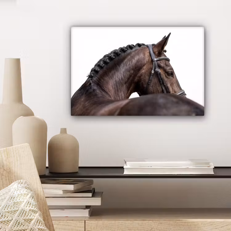 Canvas schilderij - Portret - Paard - Elegant — 5