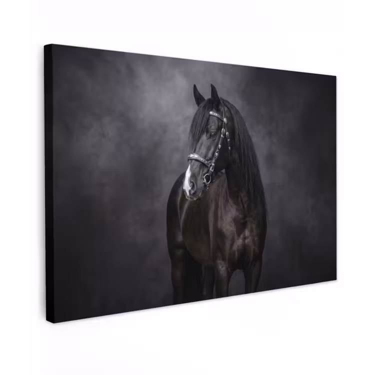 Canvas schilderij - Portret - Paard - Zwart — 1