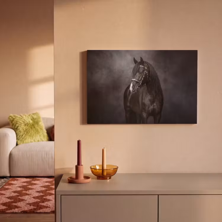 Canvas schilderij - Portret - Paard - Zwart — 2