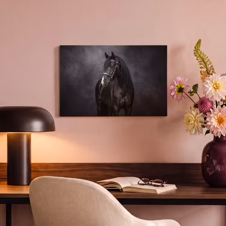Canvas schilderij - Portret - Paard - Zwart — 4
