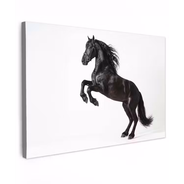 Canvas schilderij - Zwart - Paard - Portret — 1