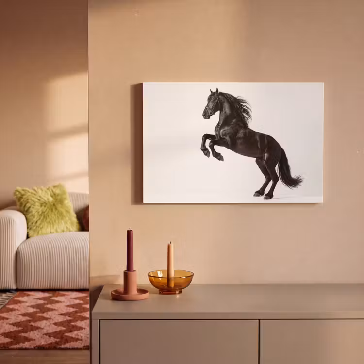 Canvas schilderij - Zwart - Paard - Portret — 2