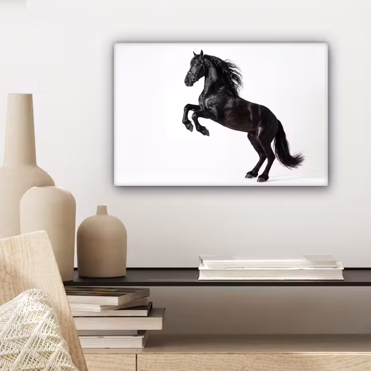 Canvas schilderij - Zwart - Paard - Portret — 5