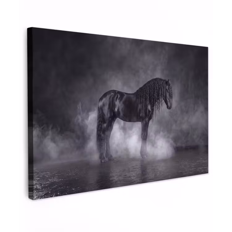 Canvas schilderij - Paard - Magisch - Zwart — 1