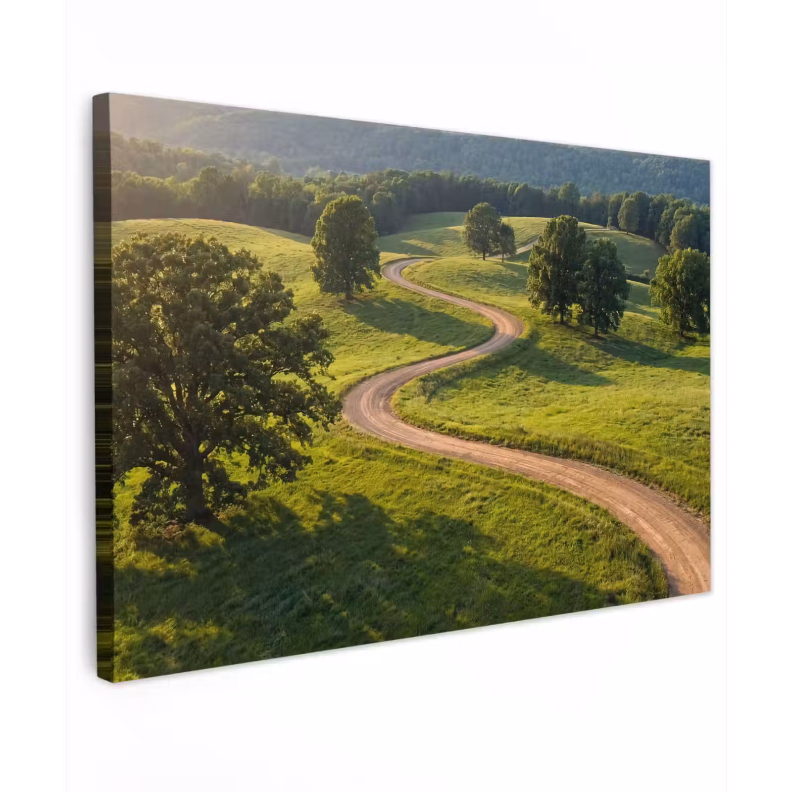 Canvas schilderij - Weg - Weide - Natuur - Groen — 1