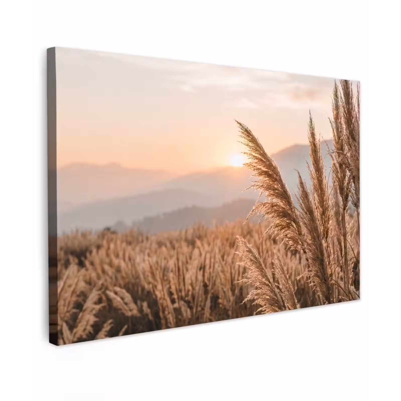 Canvas schilderij - Gras - Veld - Zon - Natuur — 1