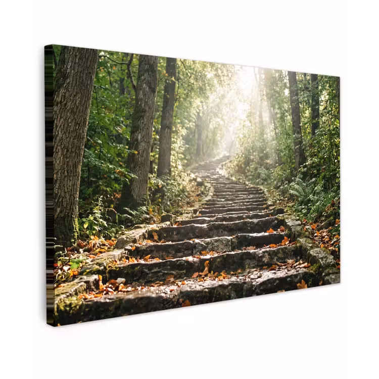 Canvas schilderij - Stenen - Trap - Bos - Natuur — 1
