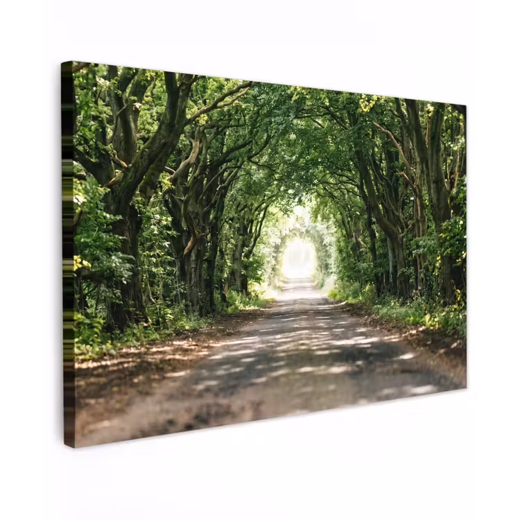 Canvas schilderij - Weg - Bomen - Natuur - Groen — 1