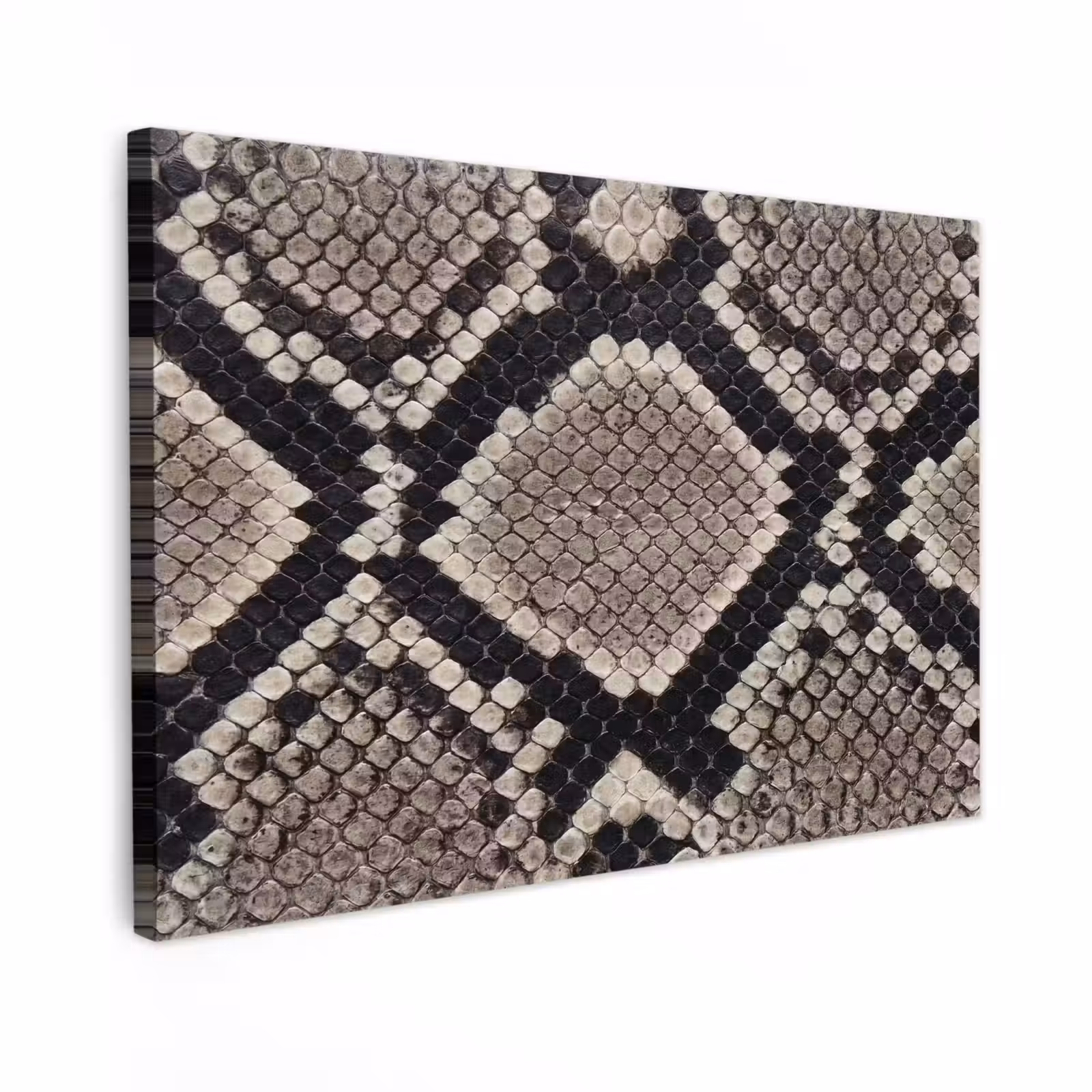 Canvas schilderij - Slangenleer - Patroon - Beige — 1