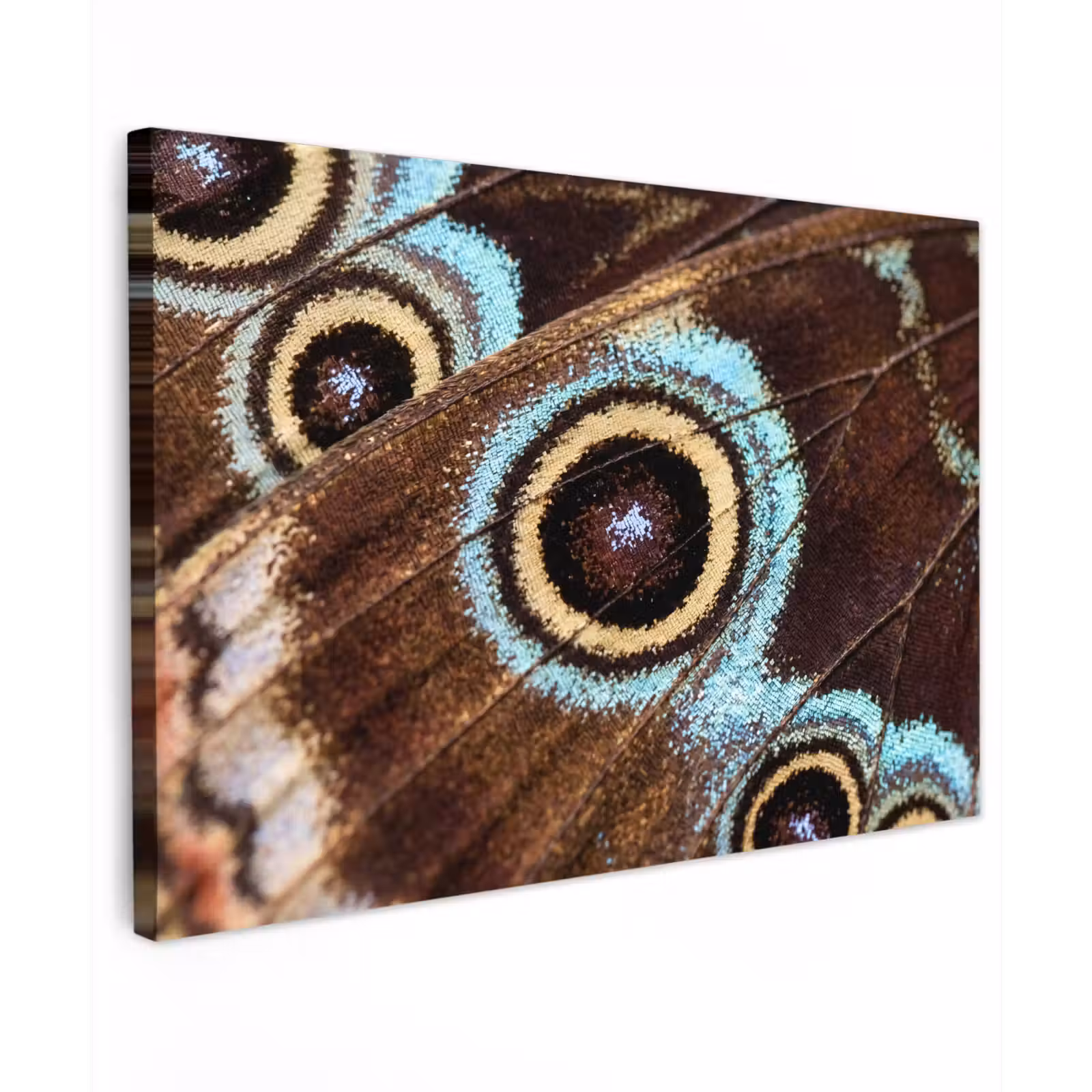 Canvas schilderij - Vleugels - Vlinder - Blauw — 1