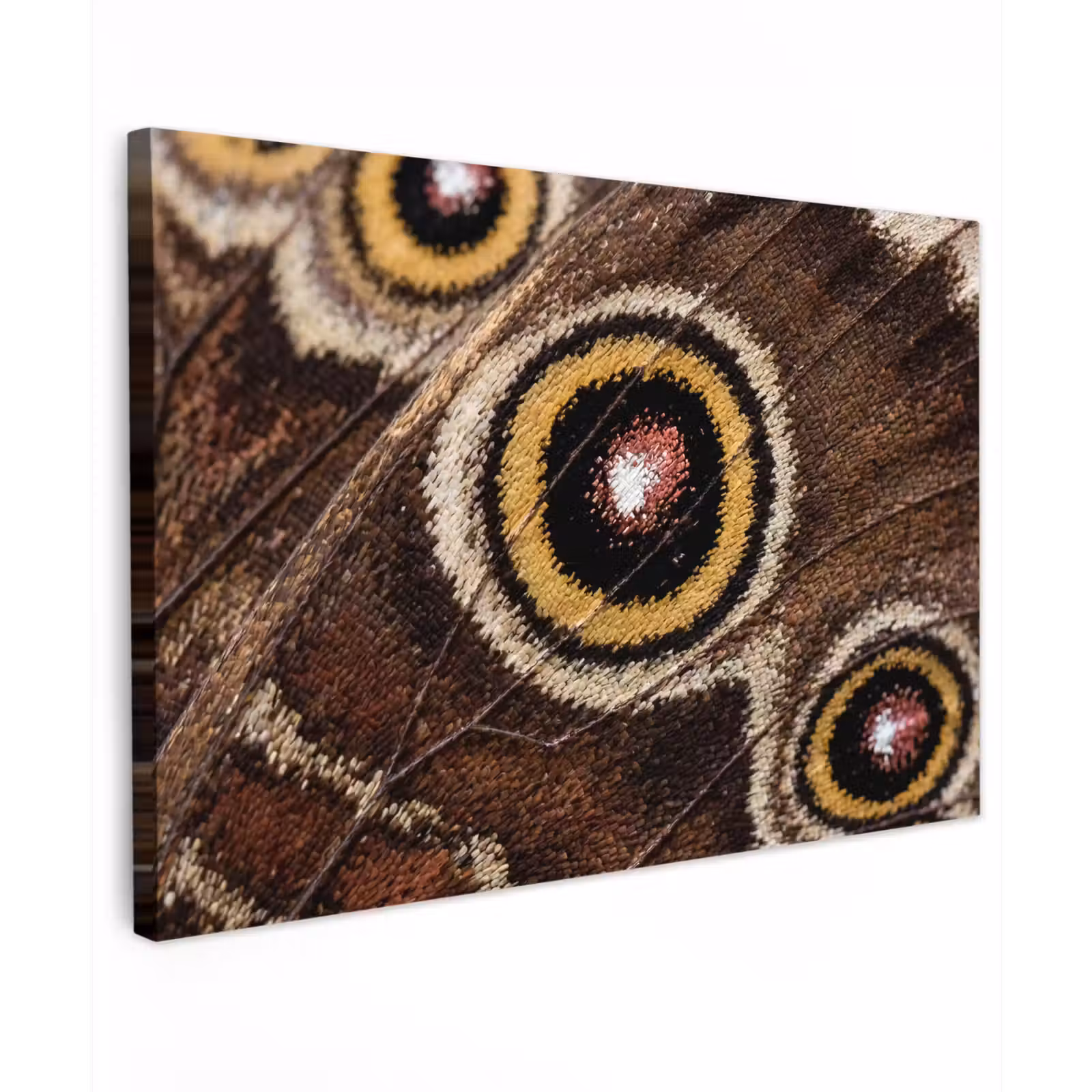 Canvas schilderij - Vlinder - Vleugel - Abstract — 1