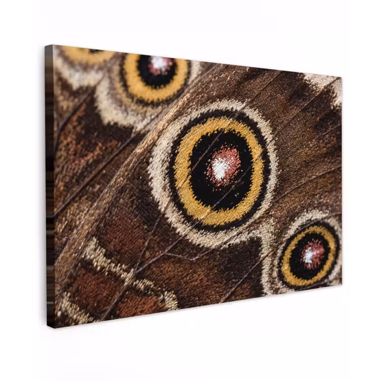 Canvas schilderij - Vlinder - Vleugel - Abstract — 1